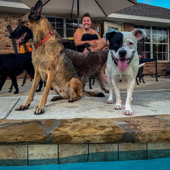 ๐๐๐๐ป Posh Ambassador, Michelle ๐ฅฐ๐บ๐ธ๐ง๐ผโโ๏ธ - Picture 4 of 8